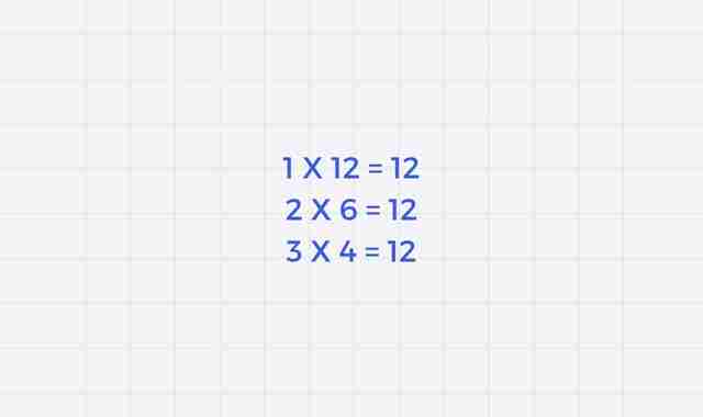 Write a program to find the Factors of a number
